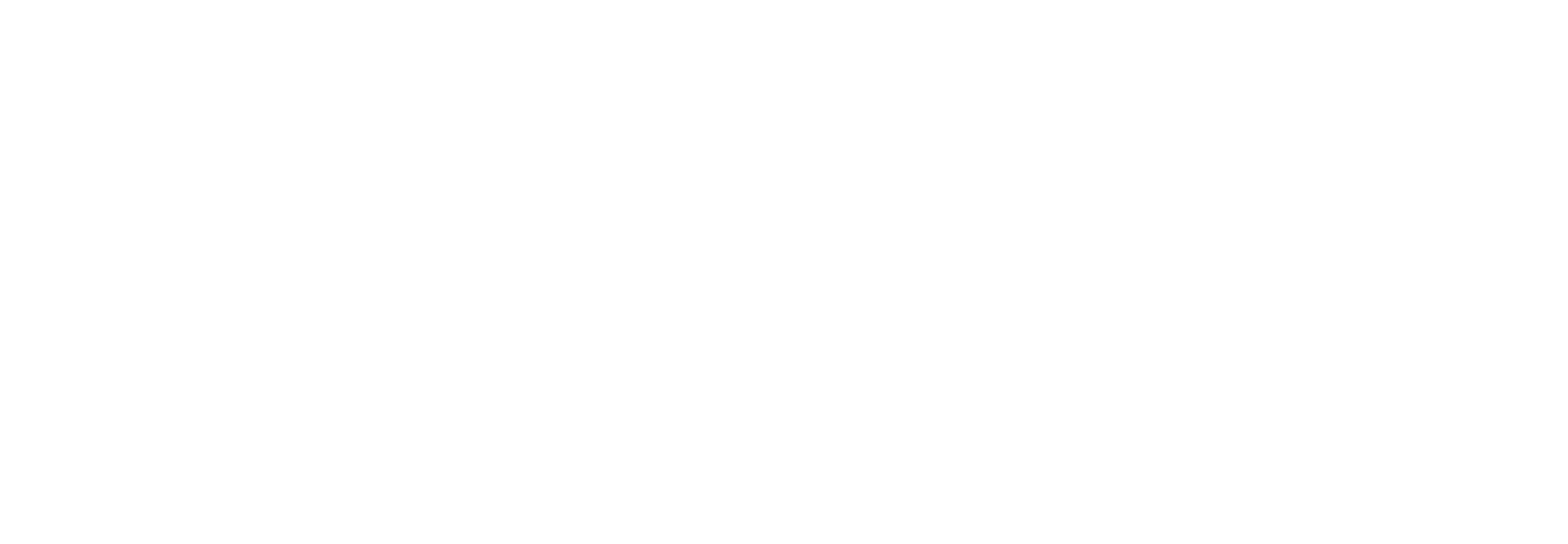 DNZ srl